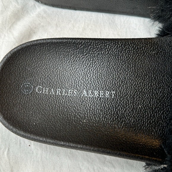 Slides - Picture 4 of 4